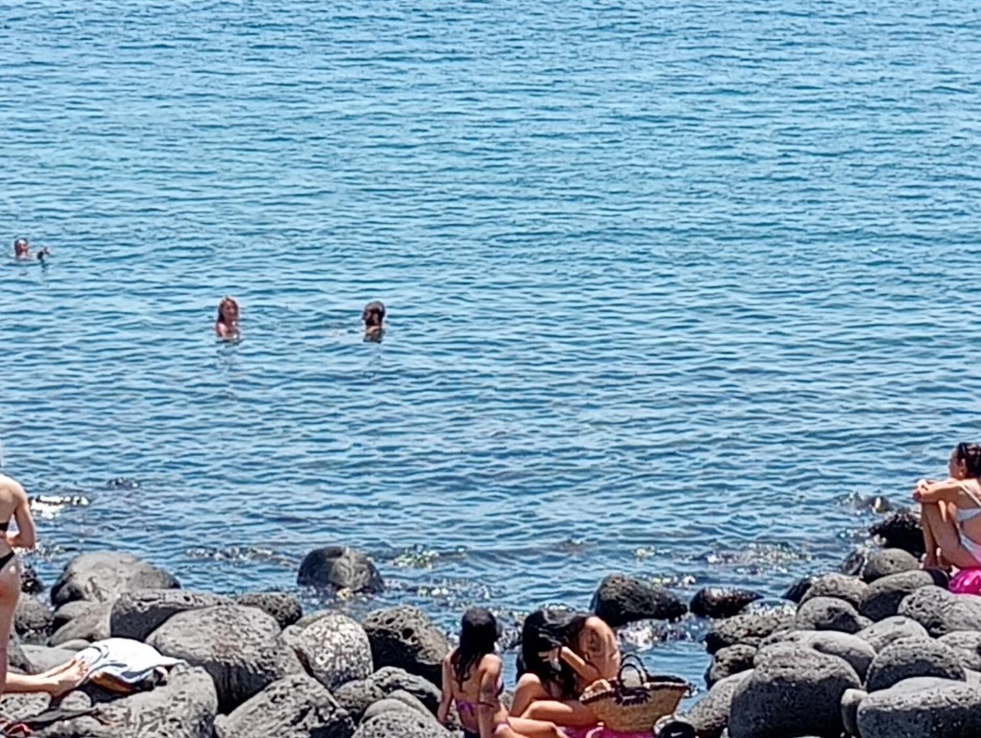 Villa Mamis Aeroporto di Catania Fontana Rossa Esterno foto